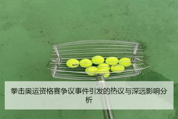 拳击奥运资格赛争议事件引发的热议与深远影响分析