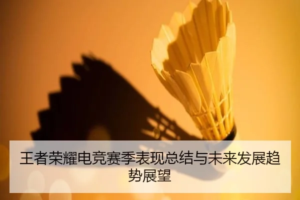 王者荣耀电竞赛季表现总结与未来发展趋势展望