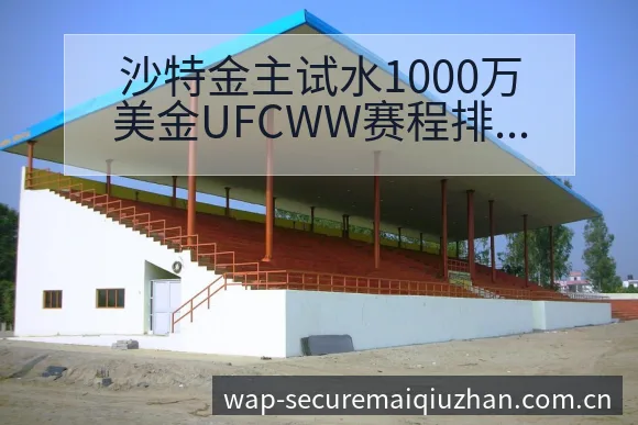 沙特金主试水1000万美金UFCWW赛程排名变化深度分析 - 买球站