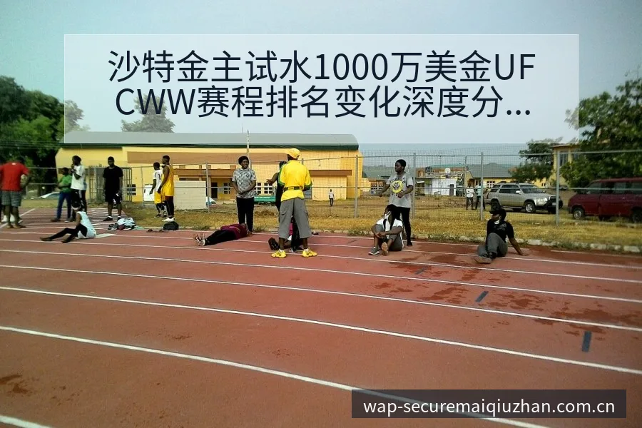 沙特金主试水1000万美金UFCWW赛程排名变化深度分析 - 买球站